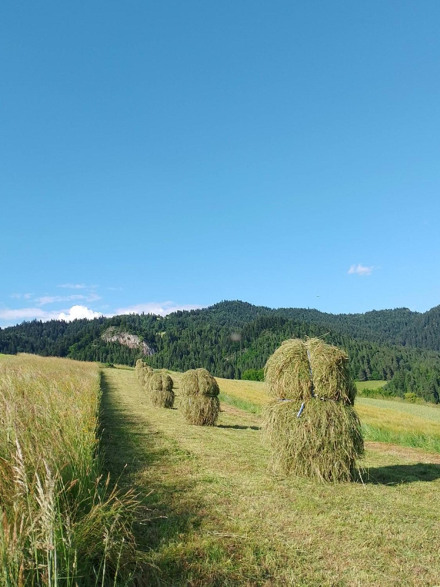 Farm stay Pod Zamczyskiem Sromowce Wyzne
