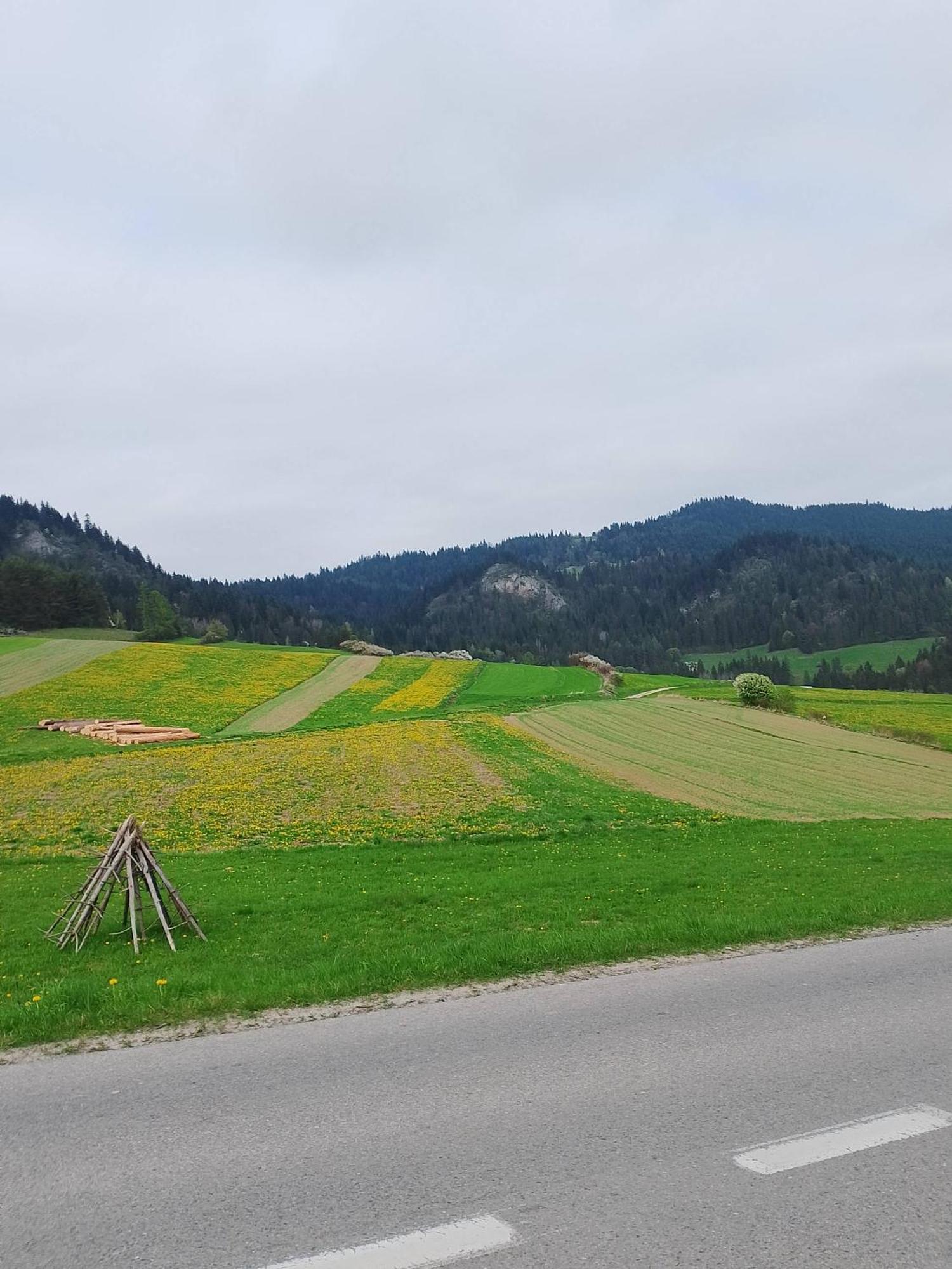 Bauernhof Pod Zamczyskiem *