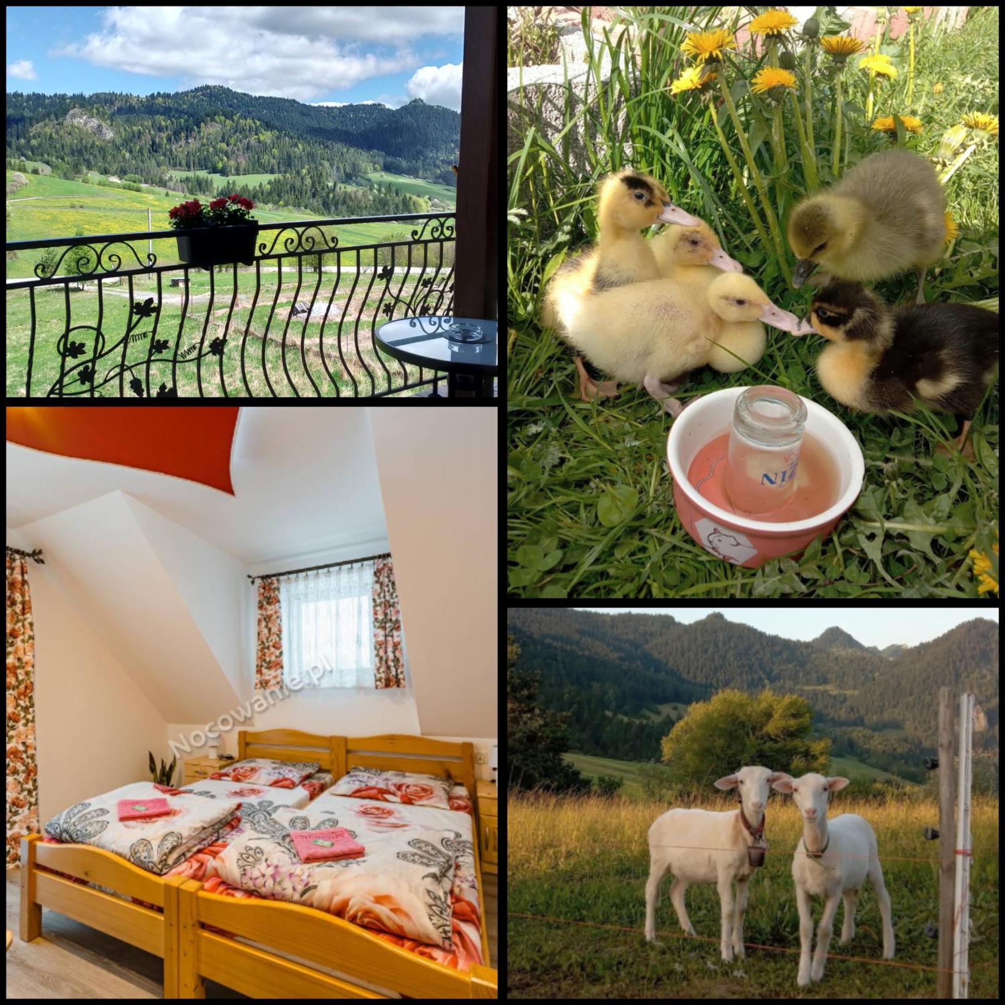 Farm stay Pod Zamczyskiem *